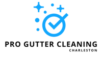gutter cleaning charleston sc